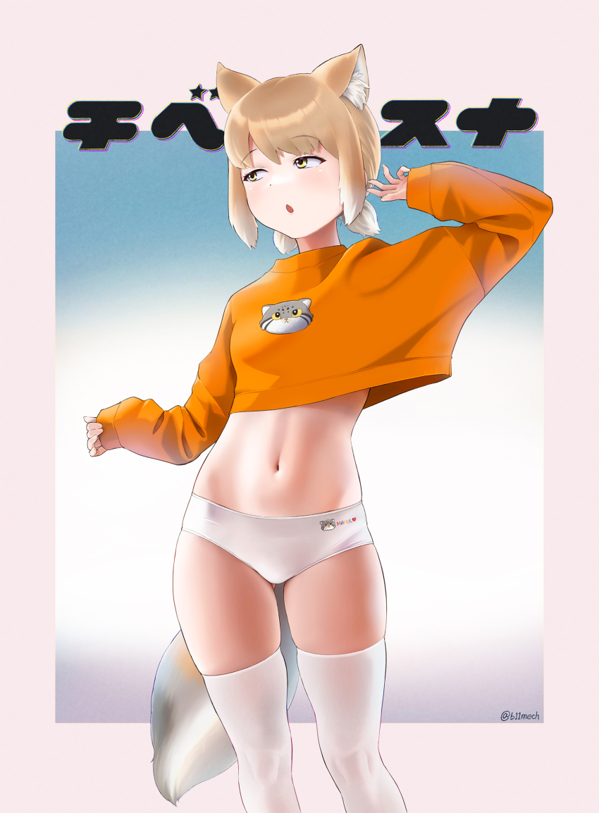 1girl absurdres alternate_costume alternate_hairstyle animal_ear_fluff animal_ears arm_up beleven border brown_hair crop_top cropped_sweater extra_ears fox_ears fox_girl fox_tail gluteal_fold greyscale highres kemono_friends light_brown_hair long_sleeves looking_to_the_side medium_hair midriff monochrome multicolored_hair navel no_pants orange_sweater outside_border paid_reward_available panties parted_bangs parted_lips short_twintails skindentation sleeves_past_wrists solo stomach sweater tail thighhighs tibetan_fox_(kemono_friends) twintails twitter_username two-tone_hair underwear white_border white_panties white_thighhighs yellow_eyes