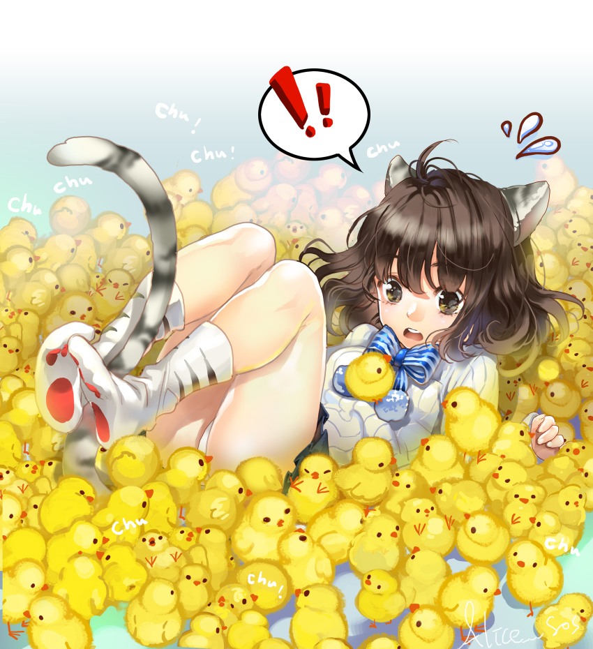 ! 1girl absurdres animal_ears bird black_skirt blue_bow blue_bowtie blush bow bowtie brown_eyes brown_hair cat_ears cat_girl cat_tail chick chushengdao commentary_request female_focus flying_sweatdrops highres kneehighs legs_up long_sleeves lying miniskirt on_back open_mouth original panties pantyshot paw_print pleated_skirt short_hair signature skirt sleeves_past_wrists socks solo speech_bubble spoken_exclamation_mark striped_bow striped_bowtie striped_clothes striped_neckwear sweater tail teeth too_many too_many_chicks underwear upper_teeth_only upskirt white_socks white_sweater