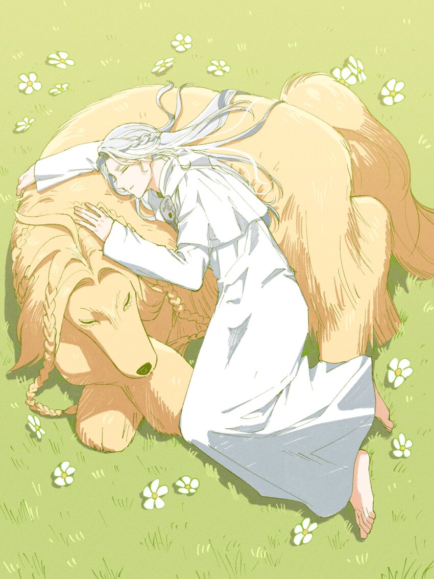 1girl afghan_hound argos_(ff14) barefoot braid capelet closed_eyes day dog final_fantasy final_fantasy_xiv flower from_above full_body grass hair_spread_out half_up_braid highres hood hood_down hooded_capelet knees_together_feet_apart long_hair long_sleeves lying lying_on_animal on_grass on_side outdoors robe rungushit single_braid sleeping sophist&#039;s_robe_(ff14) venat_(ff14) white_capelet white_flower white_hair white_robe