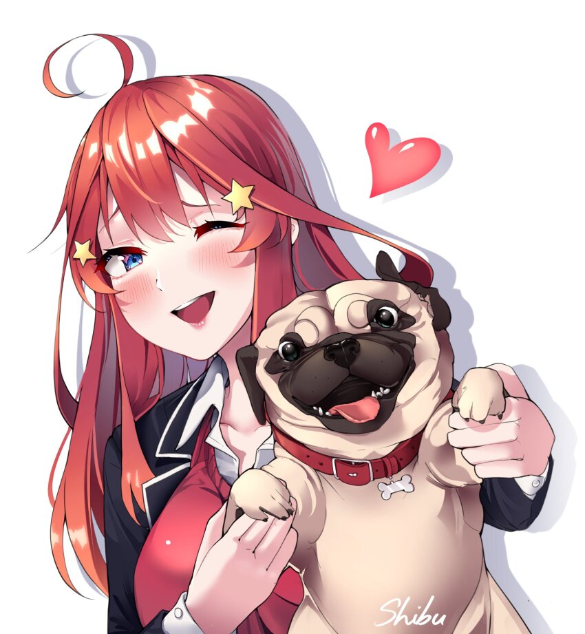 1girl 5hibu05 animal black_jacket blazer blue_eyes blush breasts dog go-toubun_no_hanayome hair_ornament heart highres holding holding_animal holding_dog jacket large_breasts long_hair long_sleeves looking_at_viewer nakano_itsuki one_eye_closed open_mouth pug red_hair red_sweater_vest school_uniform signature simple_background smile solo star_(symbol) star_hair_ornament sweater_vest upper_body white_background winter_uniform