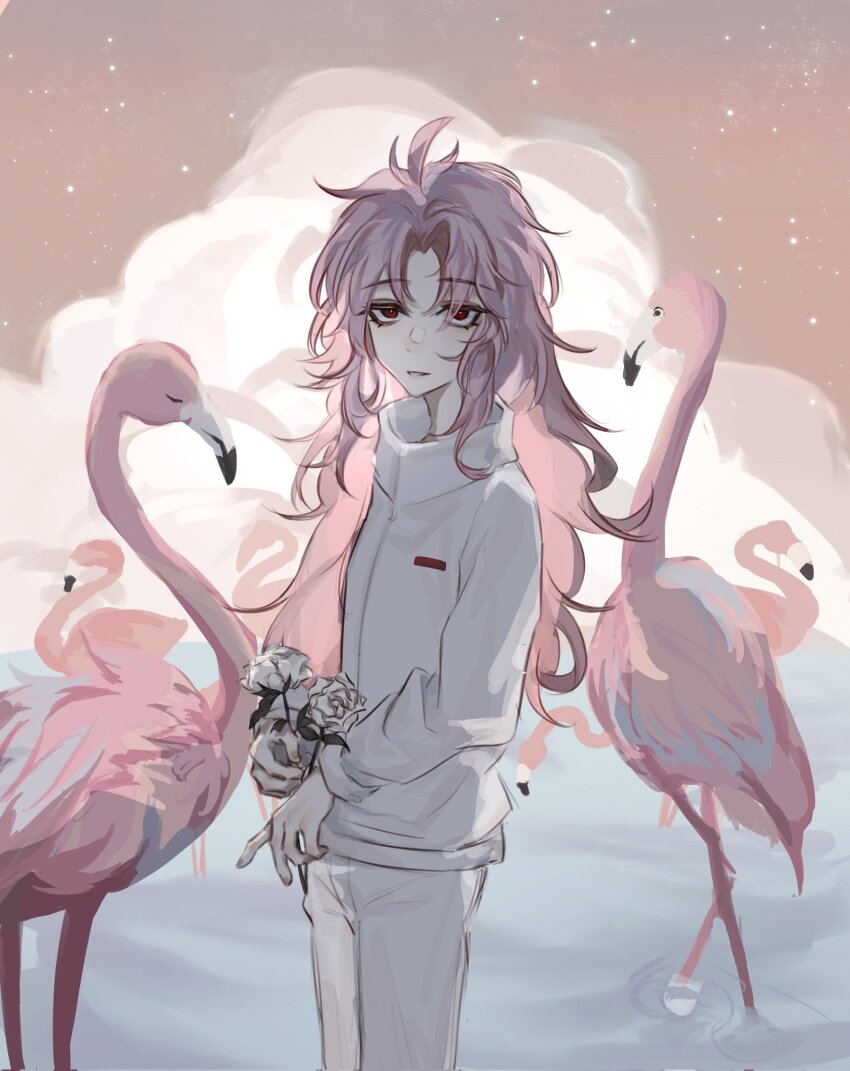 1boy ahoge bird bright_pupils chinese_commentary commentary_request cowboy_shot curly_hair curtained_hair eyelashes flamingo flower hatsutori_hajime highres holding holding_flower jacket looking_at_viewer male_focus pants parted_bangs pink_hair red_eyes rose saibou_shinkyoku sanpaku smile solo whale_island white_flower white_jacket white_pants white_pupils white_rose
