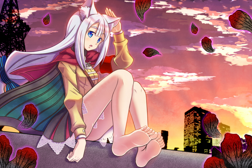 1girl 7th_dragon_(series) 7th_dragon_2020 7th_dragon_2020-ii animal_ear_fluff animal_ears bare_legs barefoot black_skirt blue_bow blue_eyes bow cape chitrine_(7th_dragon) cloud cloudy_sky floating full_body hair_bow long_hair long_sleeves looking_at_viewer lucier_(7th_dragon) no_shoes open_mouth petals puffy_long_sleeves puffy_sleeves qontamblue red_cape shirt sitting skirt sky soles solo sunset toes very_long_hair white_hair yellow_shirt
