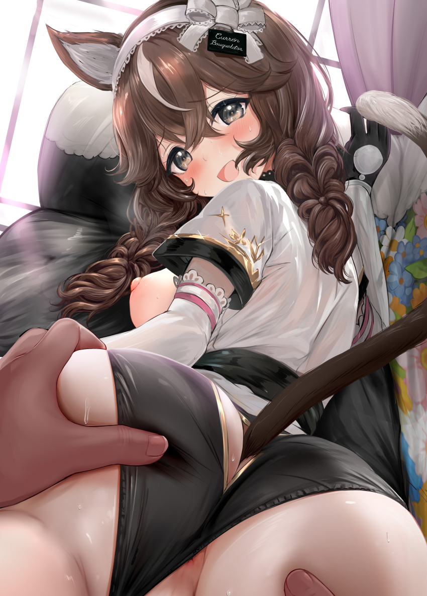 absurdres alternate_animal_ears animal_ears ass blush braid breasts brown_eyes brown_hair cat_ears cat_tail curren_bouquetd&#039;or_(umamusume) highres horse_girl kokoa_ninniku looking_at_viewer low_twin_braids medium_breasts open_mouth panties pov pov_hands sweatdrop tail twin_braids umamusume underwear window