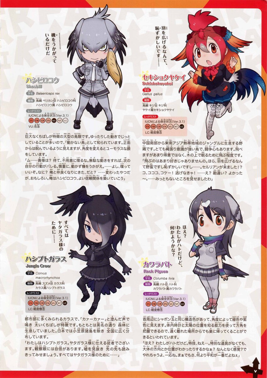 4girls absurdres black_hair full_body grey_hair highres jungle_crow_(kemono_friends) kemono_friends looking_at_viewer multiple_girls official_art red_hair red_junglefowl_(kemono_friends) rock_dove_(kemono_friends) shoebill_(kemono_friends) simple_background yoshizaki_mine