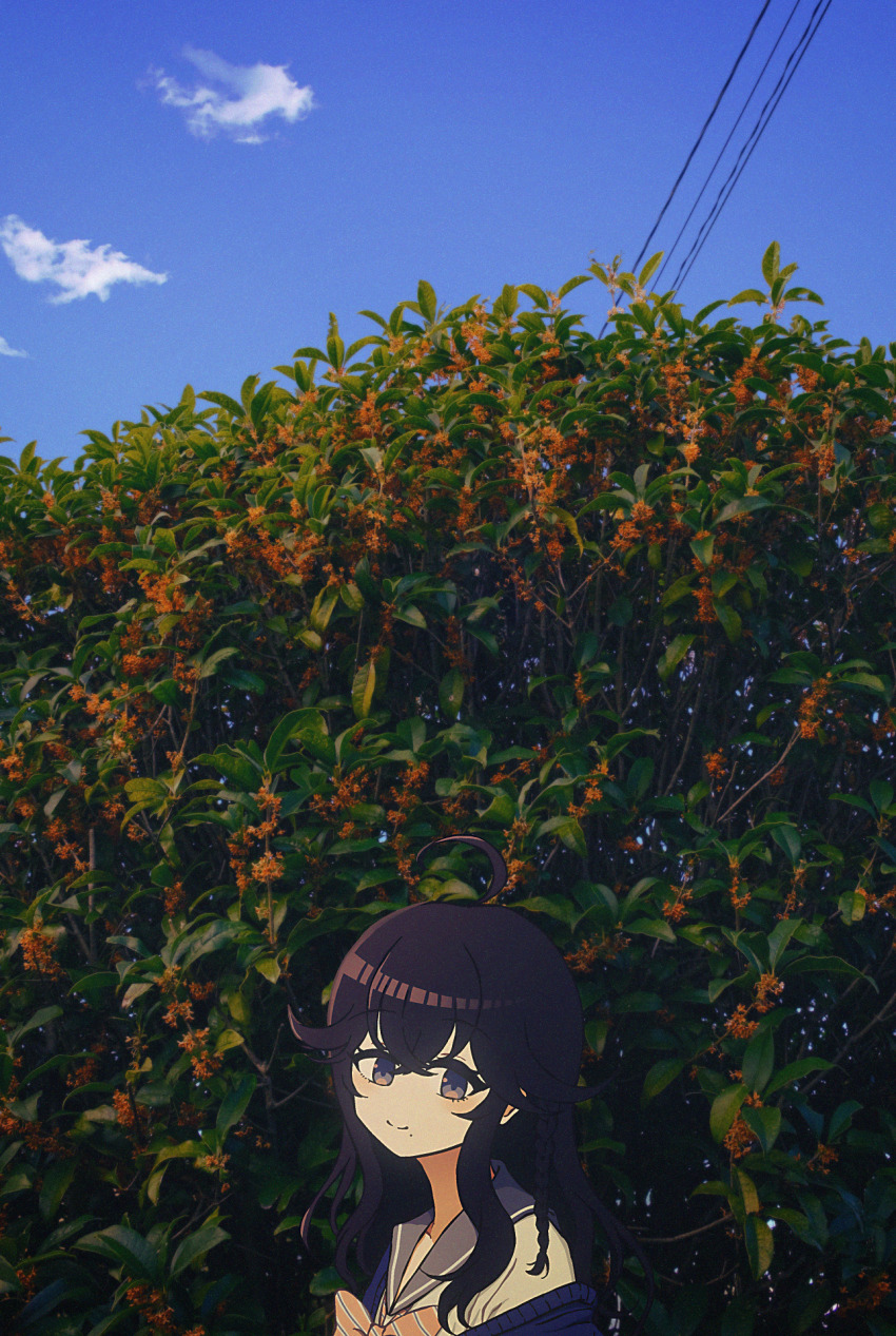 1girl ahoge black_hair blue_eyes blue_jacket blue_sky bow bowtie closed_mouth cloud crossed_bangs from_side gold_osmanthus grey_sailor_collar highres izumo_kasumi_(nijisanji) jacket light_blush long_hair looking_at_viewer nijisanji nkymyura osmanthus_(song) outdoors photo_background power_lines sailor_collar school_uniform serafuku sky smile solo upper_body virtual_youtuber white_serafuku yellow_bow yellow_bowtie