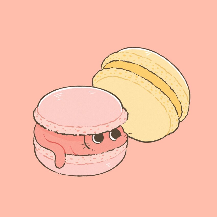 animal black_eyes cat commentary english_commentary food food_focus hiding highres iguana_taisa in_food limited_palette looking_to_the_side macaron no_humans no_mouth original pastel_colors pink_background pink_cat pink_theme sideways_glance simple_background solid_eyes white_background