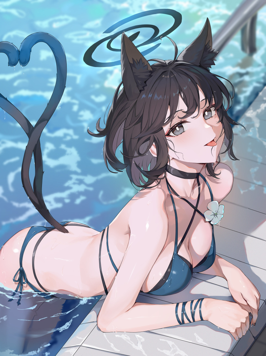 1girl absurdres animal_ears bikini black_choker black_eyes black_hair black_tail blue_archive blue_bikini blue_halo blue_tail breasts bright_pupils cat_ears cat_girl cat_tail choker cleavage criss-cross_straps fingernails gradient_tail halo heart heart_tail highres hokori_sakuni kikyou_(blue_archive) kikyou_(swimsuit)_(blue_archive) layered_bikini looking_at_viewer multiple_tails nail_polish official_alternate_costume partially_submerged poolside short_hair side-tie_bikini_bottom solo swimsuit tail tongue tongue_out two_tails white_pupils