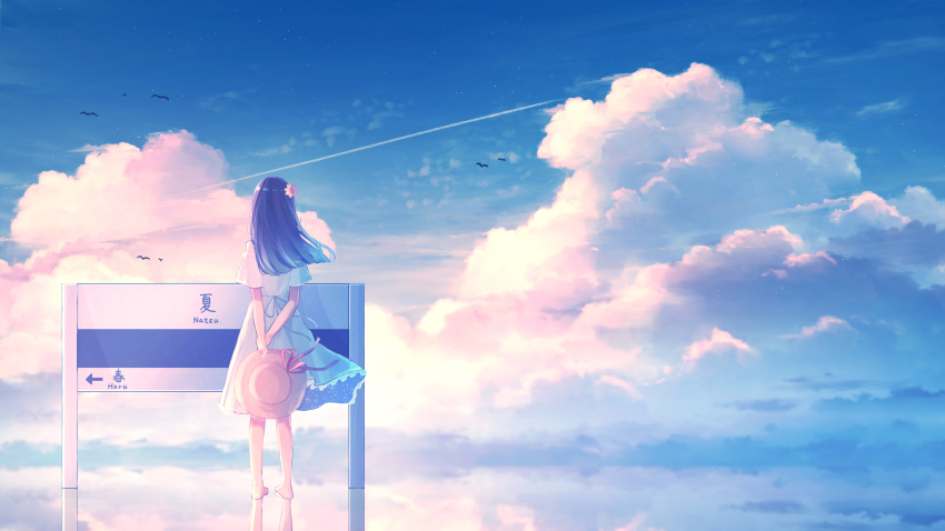 1girl amenomori_howa barefoot black_hair blue_sky blunt_ends brown_hat cloud cloudy_sky commentary_request contrail day direction_board dress flower from_behind hair_flower hair_ornament hat hat_ribbon highres holding holding_own_wrist holding_unworn_clothes holding_unworn_hat long_hair looking_at_sign original outdoors reflection reflective_water ribbon scenery short_sleeves sign simple_bird sky solo standing standing_on_liquid sun_hat unworn_hat unworn_headwear video_thumbnail white_dress wide_shot