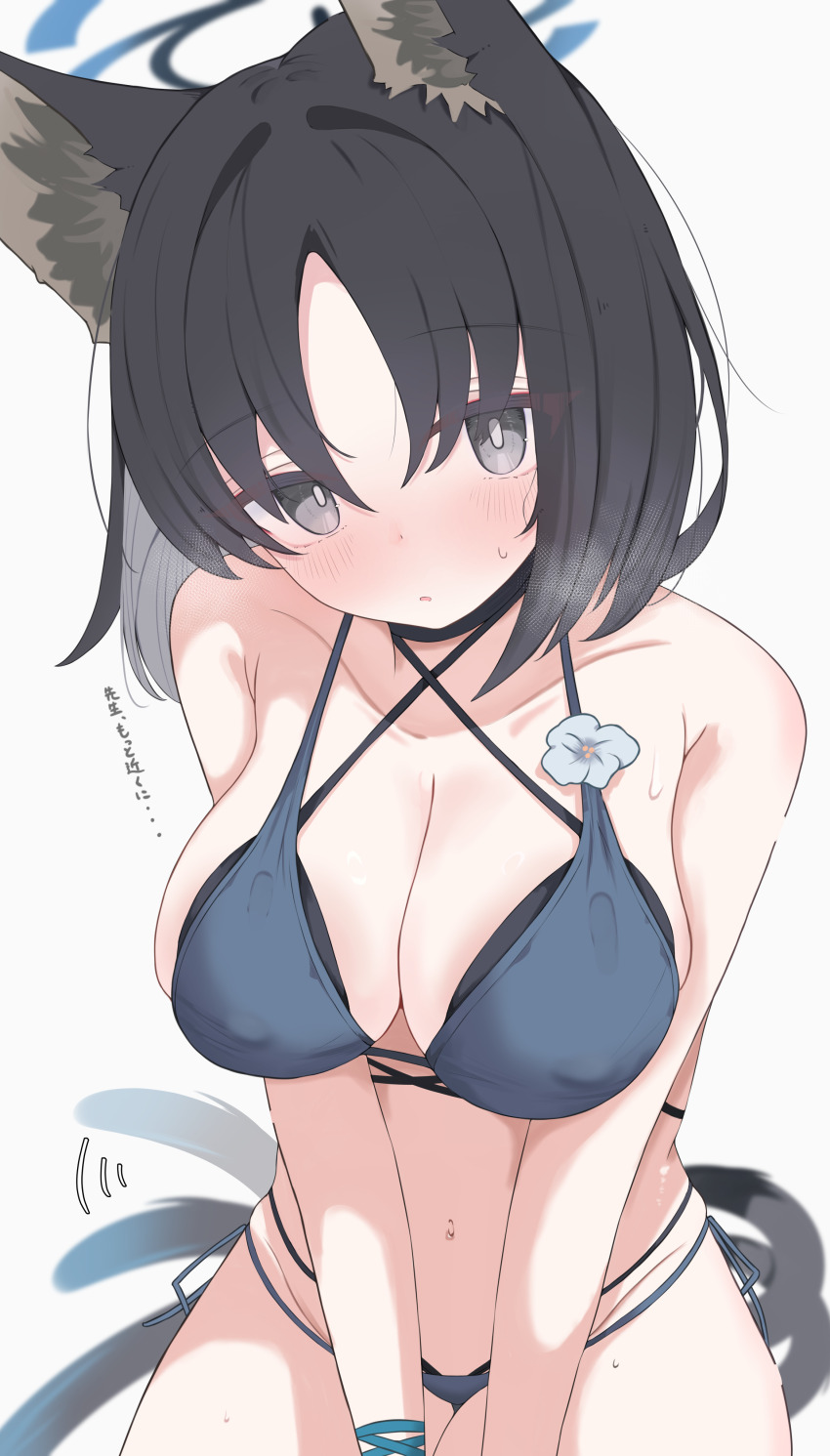 1girl absurdres animal_ears bikini black_eyes black_hair blue_archive blue_bikini blue_halo breasts cat_ears cat_girl cat_tail collarbone commentary_request halo highres kikyou_(blue_archive) kikyou_(swimsuit)_(blue_archive) large_breasts looking_at_viewer multiple_tails nui_(nuinui0300) official_alternate_costume solo swimsuit tail translation_request