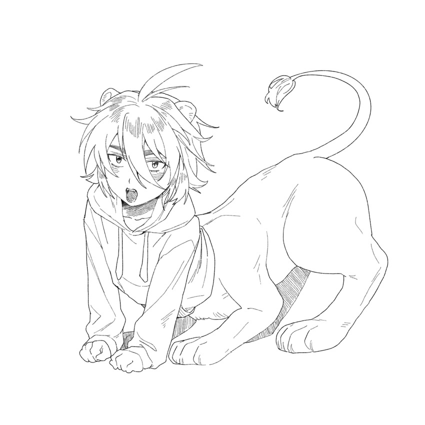 1boy ahoge animal_ears chinese_commentary commentary_request drawstring greyscale hair_between_eyes highres hood hood_down hoodie isoi_reiji lion_boy lion_ears long_bangs long_sleeves male_focus monochrome monster_boy monsterification mrkkaochang open_mouth saibou_shinkyoku sanpaku short_hair simple_background solo taur white_background