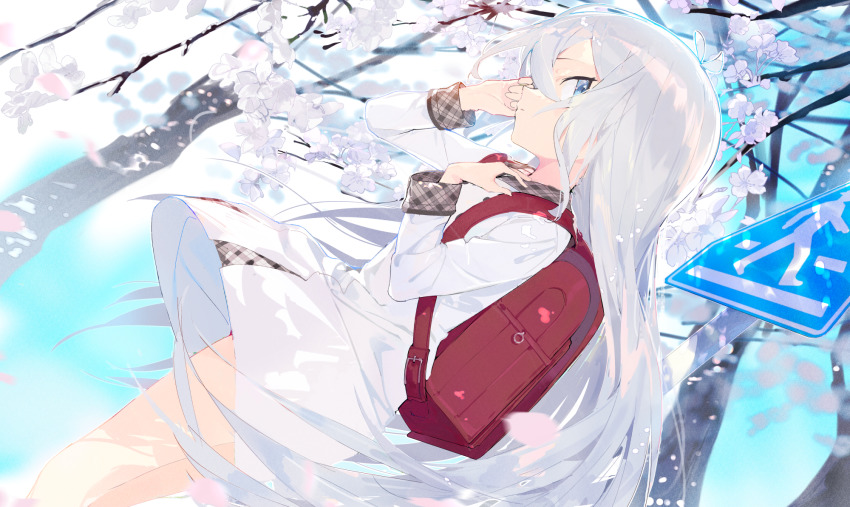 1girl aida_(chinhung0612) antenna_hair blue_eyes breasts child clothes_lift dress dress_lift flower from_side hair_between_eyes highres kokkoro_(princess_connect!) kokkoro_(real)_(princess_connect!) long_hair looking_at_viewer plaid_clothes plaid_dress princess_connect! skirt small_breasts solo very_long_hair