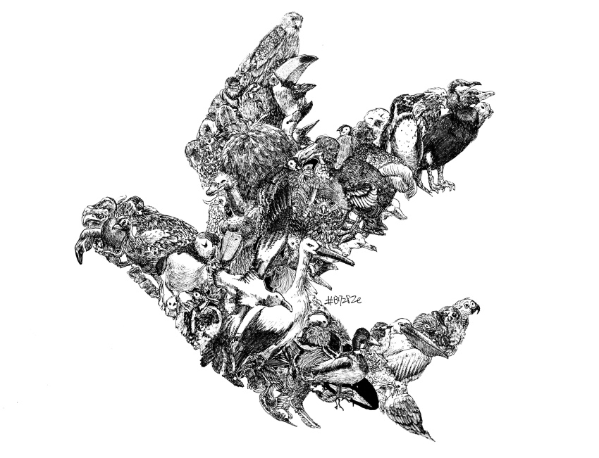 #b7282e absurdres animal_focus artist_name bird cassowary chicken cockatoo crow dodo_(bird) duck eagle flamingo greyscale highres mallard monochrome no_humans original ostrich owl parrot pelican puffin signature simple_background skewer snowy_owl superb_bird-of-paradise toucan traditional_media turkey_(bird) white_background