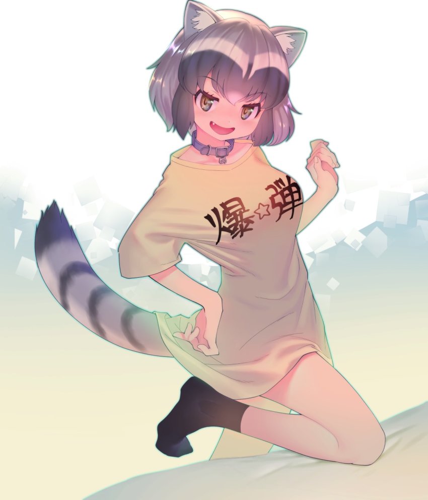 1girl animal_ear_fluff animal_ears black_hair black_socks blush breasts clothes_writing collar common_raccoon_(kemono_friends) eyelashes fang female_focus grey_hair highres kemono_friends medium_breasts mifu_(b24vc1) multicolored_hair open_mouth raccoon_ears raccoon_tail shirt short_hair short_sleeves sock_dangle socks solo t-shirt tail translated white_hair yellow_shirt