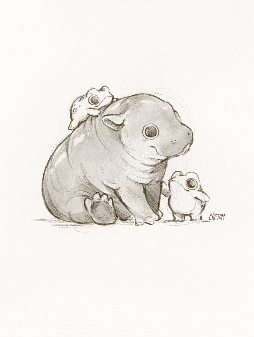 animal animal_focus artist_name baby_animal chetom closed_mouth commentary english_commentary frog greyscale highres hippopotamus monochrome moo_deng no_humans nostrils original simple_background sitting sketch standing very_big_eyes white_background