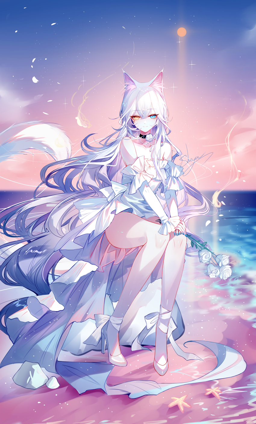 1girl absurdres animal_ear_fluff animal_ears bare_shoulders black_choker blue_eyes cat_ears cat_girl cat_tail choker closed_mouth dress floating_hair flower full_body hair_between_eyes heterochromia high_heels highres jewelry long_hair looking_at_viewer necklace original outdoors rose sheya shoes signature sitting slit_pupils smile starfish tail white_dress white_flower white_hair white_rose white_shoes yellow_eyes