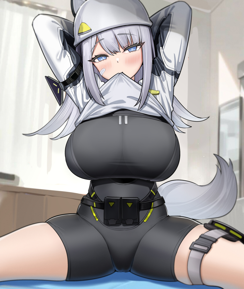 1girl absurdres alternate_breast_size_(larger) arknights arknights:_endfield arms_behind_head arms_up bandaid bandaid_on_cheek bandaid_on_face belt belt_pouch black_belt black_bodysuit blue_eyes bodysuit breasts cat_girl cat_tail chinese_commentary clothes_lift commentary_request cropped_jacket curtains day desk dishui_tangni estella_(arknights) grey_hair grey_jacket helmet highres huge_breasts indoors jacket jacket_lift lifting_own_clothes light_blush long_sleeves looking_at_viewer mouth_hold multicolored_jacket parted_bangs pouch see-through_silhouette side_part side_sitting_split sidelocks sitting_split skindentation solo split straight-on tail thigh_pouch thigh_strap thighs two-tone_jacket window