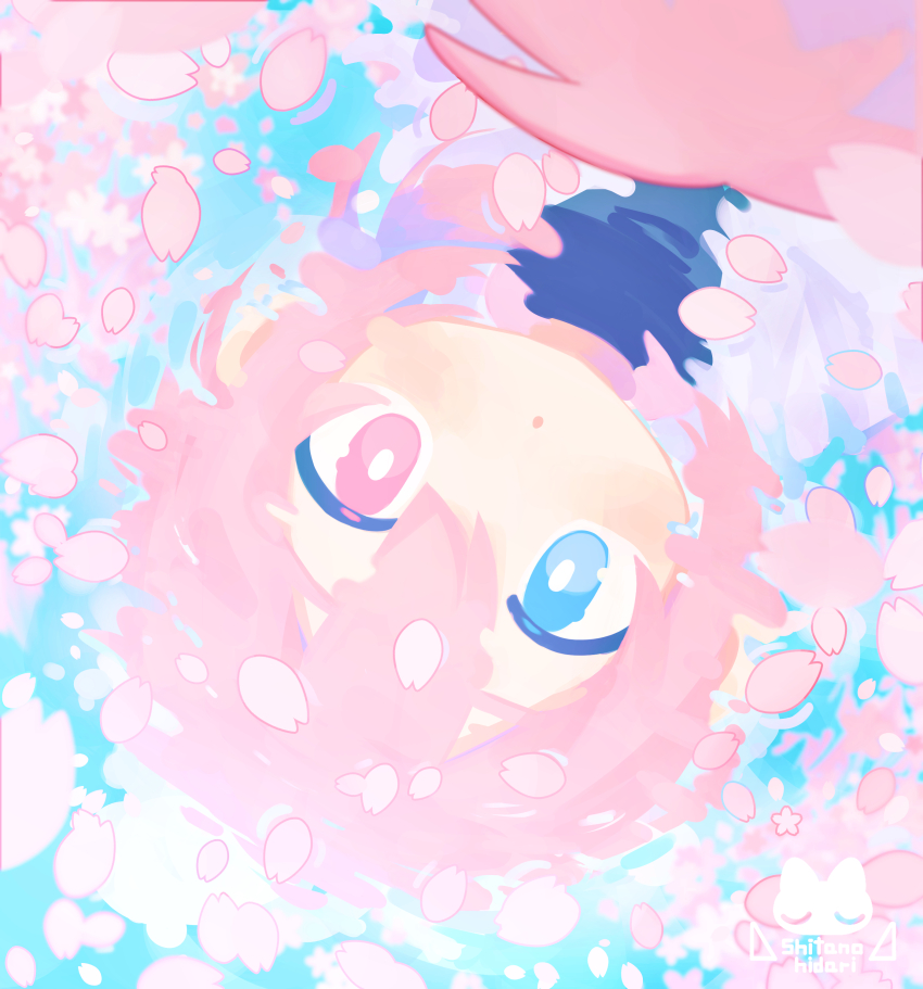 1boy absurdres afloat artist_logo black_shirt blue_eyes bright_pupils cherry_blossoms commentary_request hair_between_eyes heterochromia highres jacket logo looking_at_viewer male_focus original parted_lips petals pink_eyes pink_hair pink_petals portrait raito-kun_(uenomigi) shirt short_hair solo uenomigi water white_jacket white_pupils