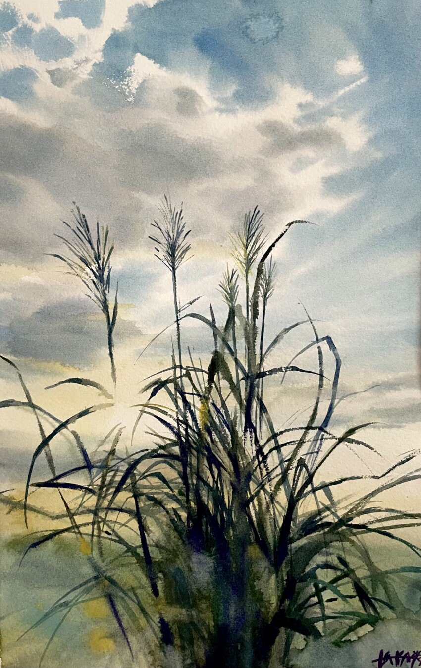 blue_sky cloud cloudy_sky day grass highres no_humans original painting_(medium) plant plant_focus shibakaka signature sky sky_focus sunlight susuki_grass traditional_media watercolor_(medium)