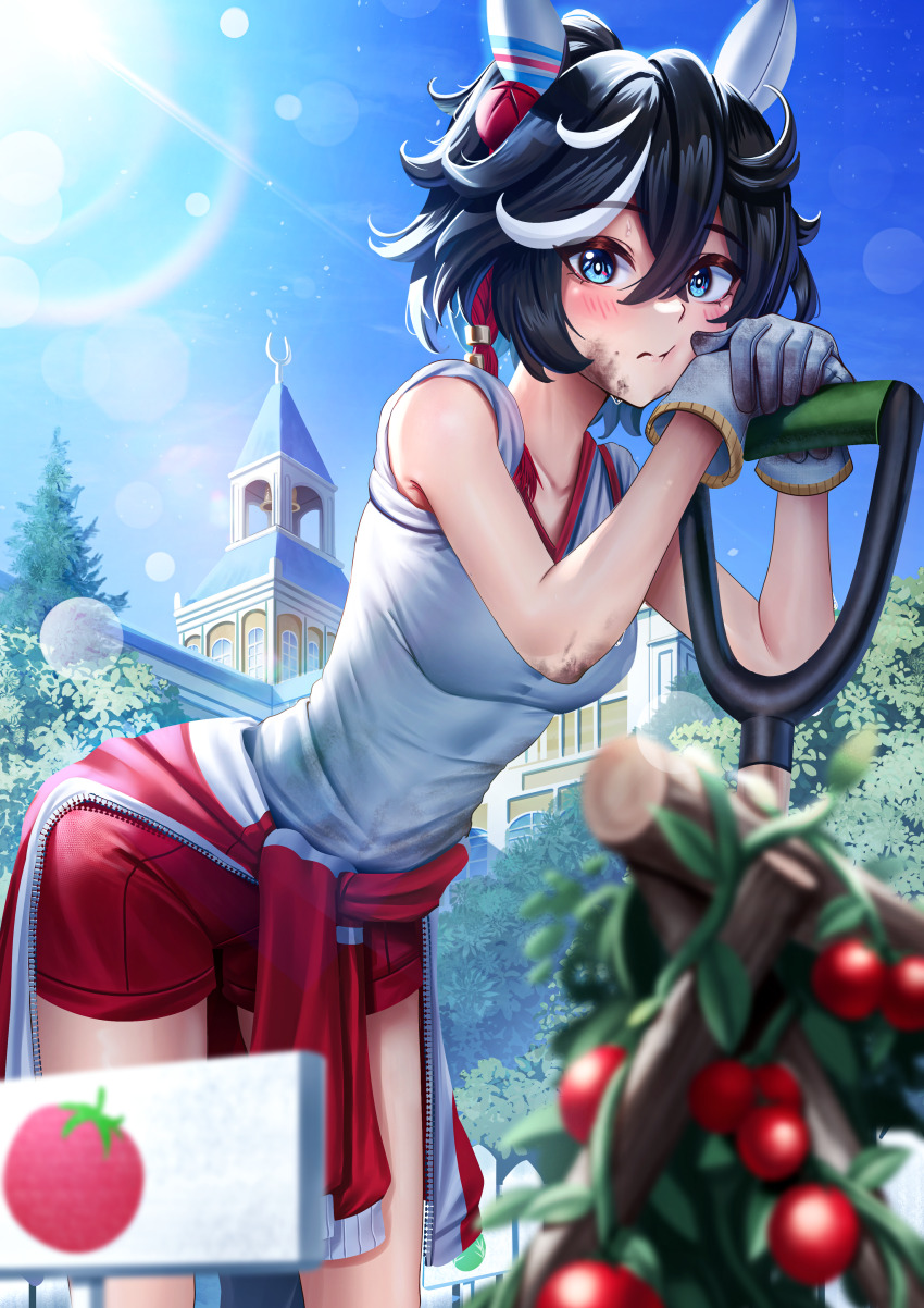 1girl absurdres animal_ears black_hair blue_eyes blush breasts closed_mouth commentary gloves highres holding holding_shovel horse_ears horse_girl katsuragi_ace_(umamusume) looking_at_viewer manjo_(warito) red_shorts shirt shorts shovel solo umamusume white_gloves white_shirt