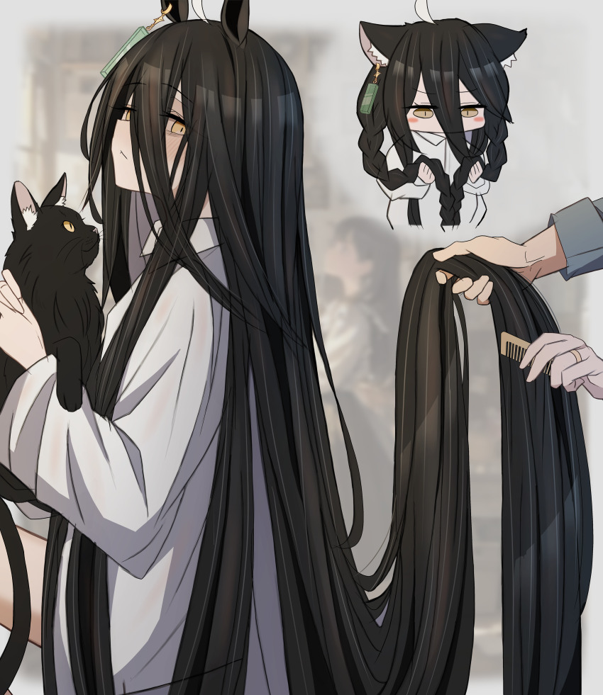 1girl absurdres ahoge alternate_hairstyle animal animal_ears black_hair blush_stickers braid cat closed_mouth comb commentary_request hair_between_eyes highres holding holding_animal holding_another&#039;s_hair holding_comb horse_ears horse_girl leogust long_hair long_sleeves looking_at_viewer looking_down manhattan_cafe_(umamusume) multicolored_hair shirt streaked_hair twin_braids umamusume very_long_hair white_hair white_shirt yellow_eyes