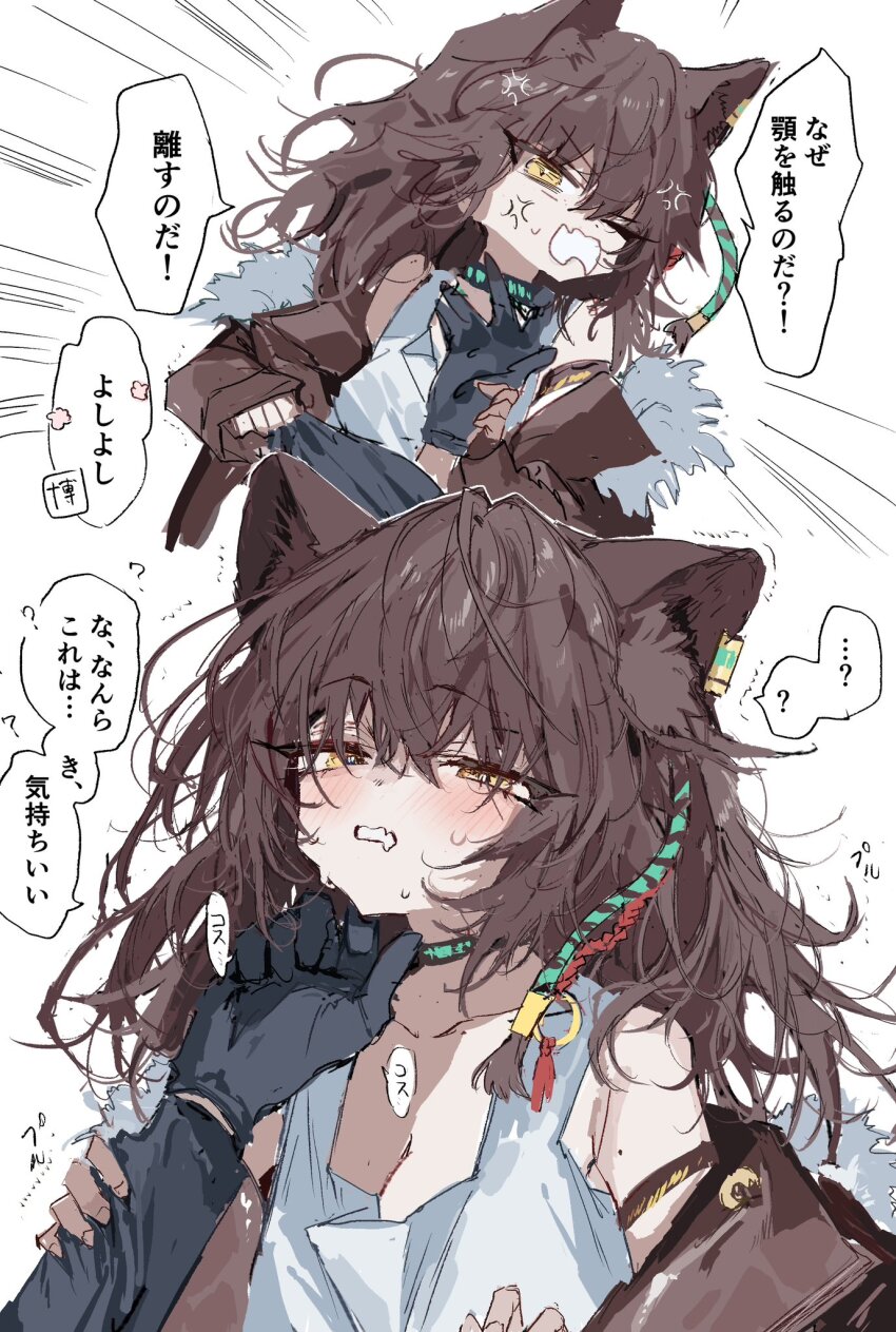 ...? 1girl 1other ambiguous_gender anger_vein animal_ears arknights bare_shoulders black_gloves blush braid breasts brown_hair brown_jacket choker cleavage commentary_request doctor_(arknights) dress emphasis_lines gloves hair_between_eyes hand_on_another&#039;s_chin highres jacket long_hair long_sleeves lunacub_(arknights) mole mole_on_arm na_tarapisu153 open_mouth stroking_another&#039;s_chin sweat translation_request white_dress wolf_ears wolf_girl yellow_eyes