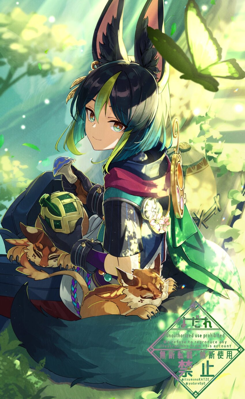 1boy animal_ear_fluff animal_ears artist_name asymmetrical_sleeves black_gloves black_hair blue_pants blunt_ends blurry blurry_background bomb brown_eyes brown_gloves bug butterfly cape claws closed_mouth commentary commentary_request day earrings english_commentary explosive falling_leaves flower forest fox_boy fox_ears fox_tail genshin_impact gloves grass green_butterfly green_cape green_eyes green_hair hair_between_eyes highres holding holding_bomb holding_mushroom hood hood_down hoodie insect itsumono_katze jewelry leaf light_particles light_rays long_sleeves looking_at_viewer looking_back male_focus mixed-language_commentary multicolored_clothes multicolored_eyes multicolored_hair mushroom nature outdoors pants pink_flower plant purple_sash rishboland_tiger_(genshin_impact) rope sash short_hair short_sleeves single_earring sitting smile solo streaked_hair sunlight tail tiger tiger_cub tighnari_(genshin_impact) tree twitter_username two-tone_gloves uneven_sleeves watermark wrist_cuffs
