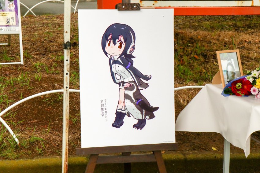 10s 1girl armband bird black_hair blush boots bouquet breasts commentary_request dated easel flower full_body grape-kun grass headphones highres hood humboldt_penguin humboldt_penguin_(kemono_friends) jacket kemono_friends medium_hair multicolored_hair outdoors partially_translated penguin photo_(medium) photo_(object) pink_hair purple_armband red_eyes simple_background smile tail translation_request white_background yoshizaki_mine zipper zipper_pull_tab