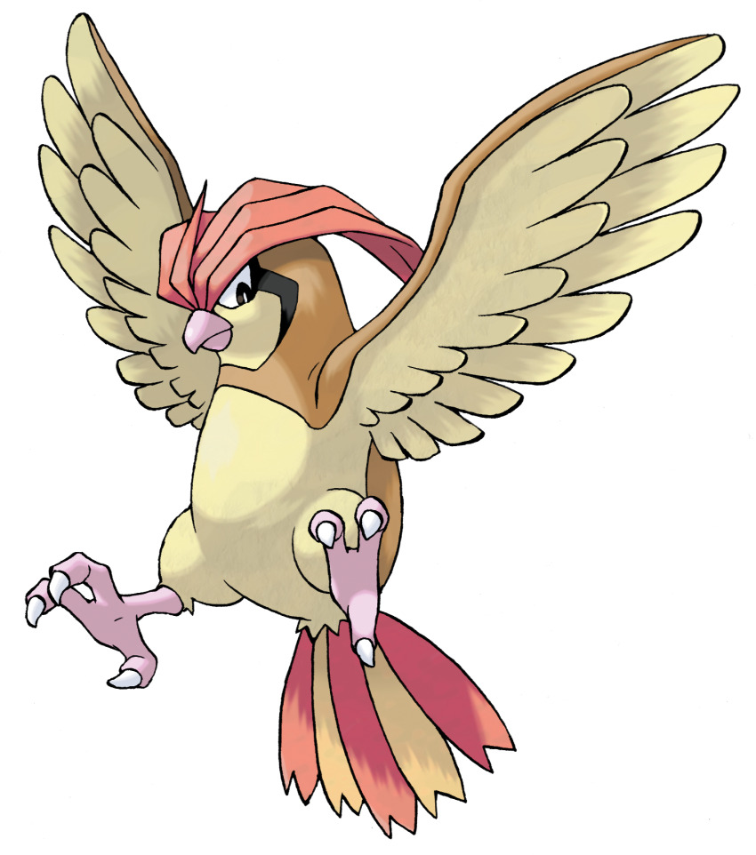 animal_focus bird closed_mouth full_body gen_1_pokemon highres nintendo no_humans official_art pidgeotto pokemon pokemon_(creature) pokemon_focus pokemon_frlg solo sugimori_ken talons third-party_source transparent_background