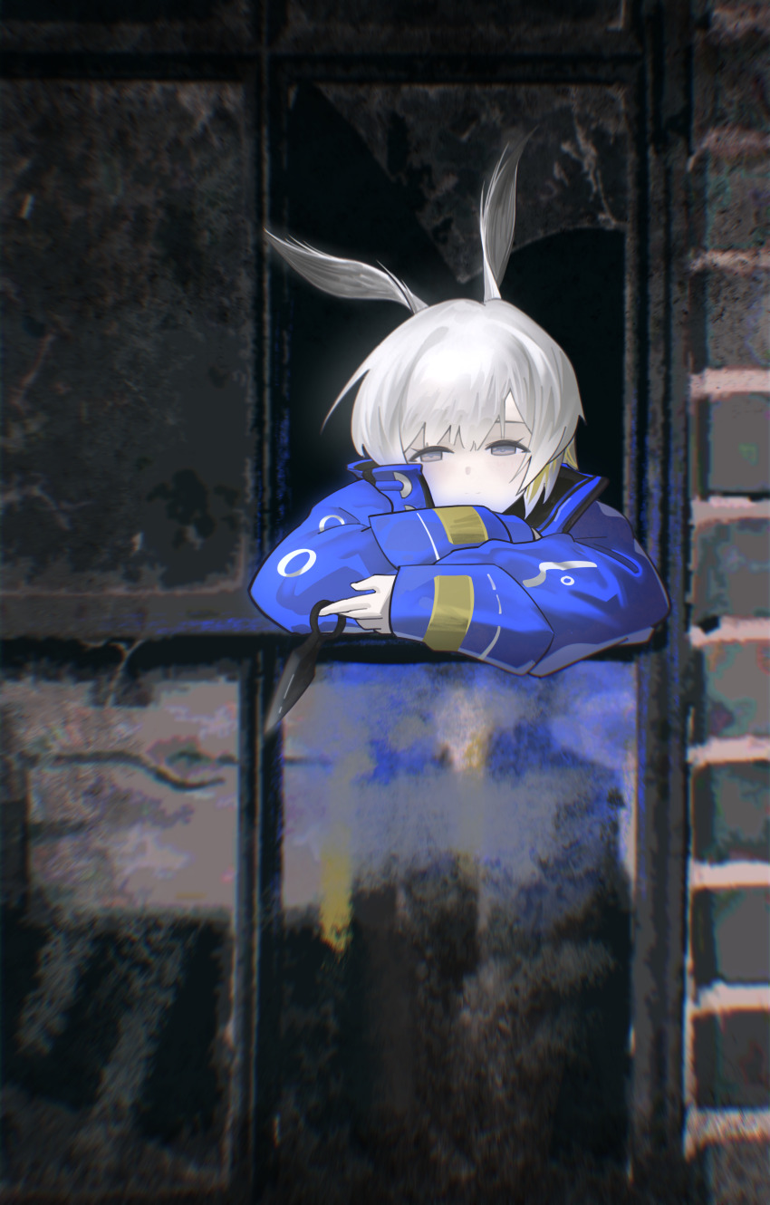1girl absurdres animal_ears arknights black_pants blue_jacket brick_wall broken_window commentary_request dreamerdlt grey_eyes half-closed_eyes highres jacket long_sleeves pants puffy_long_sleeves puffy_sleeves rabbit_ears sleeves_past_wrists solo surfer_(arknights) white_hair