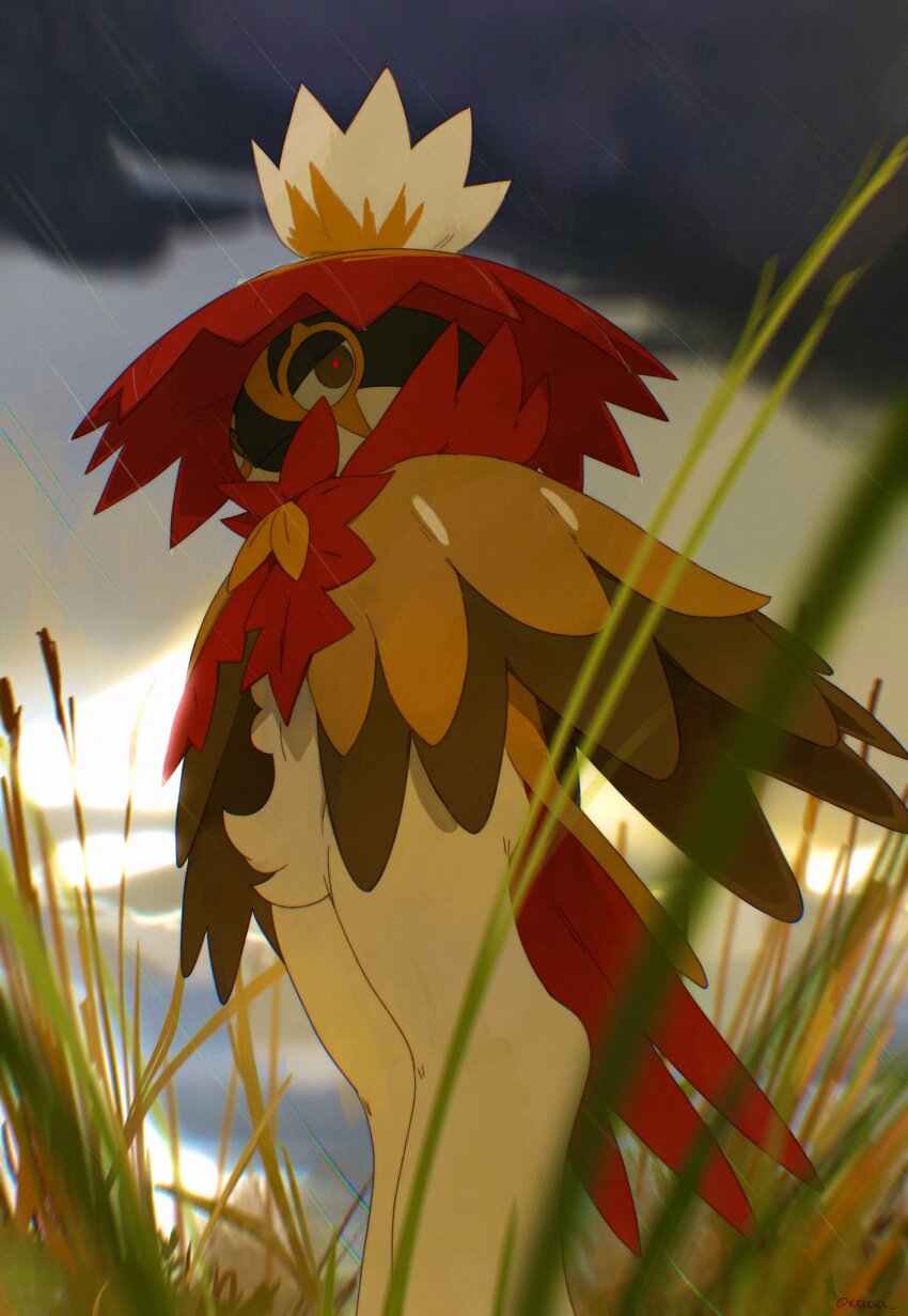 animal_focus bird blurry brown_eyes closed_mouth cloud commentary day depth_of_field english_commentary from_side full_body grass grey_sky highres hisuian_decidueye kel-del looking_at_viewer nintendo no_humans outdoors owl pokemon pokemon_(creature) rain red_pupils reeds sky solo standing straw_(stalk)