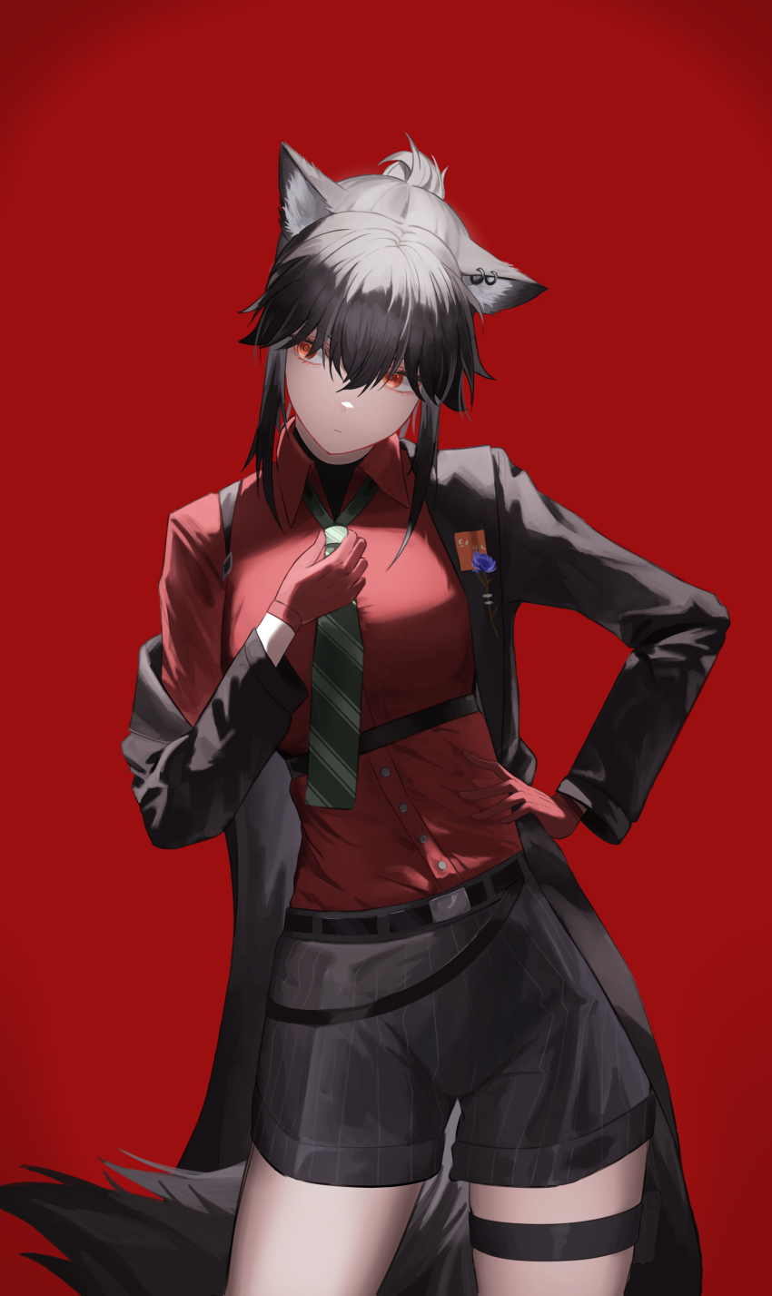 1girl absurdres adjusting_clothes adjusting_necktie animal_ear_fluff animal_ear_piercing animal_ears arknights black_coat black_hair black_shorts black_tail buttons closed_mouth coat collared_shirt contrapposto cowboy_shot diagonal-striped_clothes diagonal-striped_necktie dress_shirt gloves green_necktie hair_between_eyes hand_on_own_hip highres kojy_2524 looking_to_the_side necktie off_shoulder official_alternate_costume orange_eyes red_background red_gloves red_shirt shirt short_hair shorts simple_background solo standing striped_clothes striped_shorts tail texas_(arknights) texas_(willpower)_(arknights) thigh_strap vertical-striped_clothes vertical-striped_shorts wolf_ears wolf_girl wolf_tail