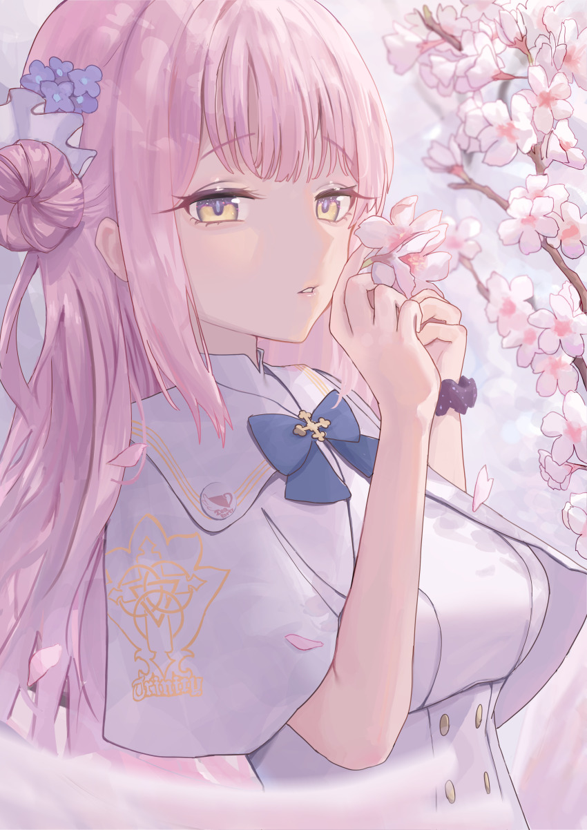 1girl absurdres blue_archive blue_flower capelet closed_mouth dress flower hair_between_eyes hair_bun hair_ornament hair_scrunchie highres holding holding_flower long_hair looking_at_viewer mika_(blue_archive) nekoplanetouo pink_flower pink_hair purple_scrunchie scrunchie sidelocks white_capelet white_dress wrist_scrunchie yellow_eyes