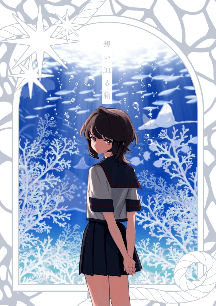 1girl absurdres aquarium arms_behind_back black_sailor_collar black_skirt commentary_request cowboy_shot deco_(geigeki_honey) highres kantai_collection looking_at_viewer looking_back manta_ray miyuki_(kancolle) miyuki_kai_ni_(kancolle) pleated_skirt sailor_collar school_uniform serafuku shirt skirt solo star_(symbol) white_shirt window