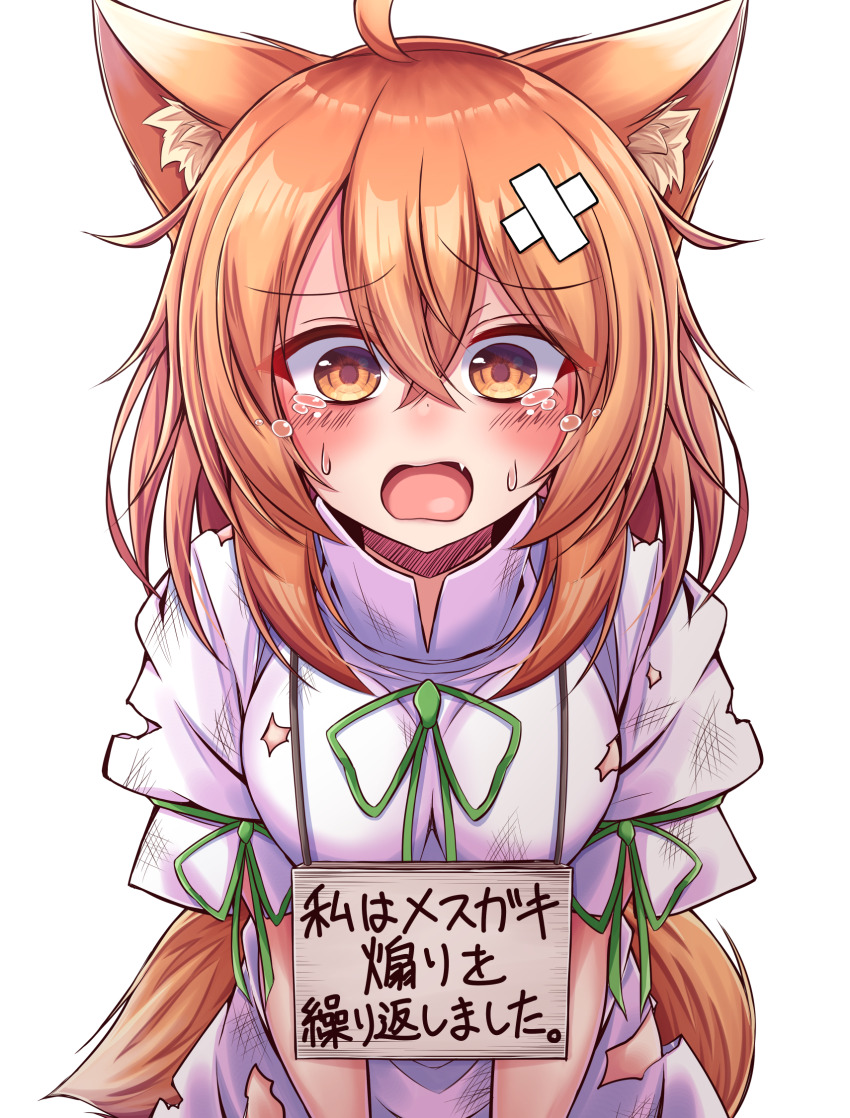 1girl animal_ear_fluff animal_ears breasts crossed_bandaids crying crying_with_eyes_open dress fang fox_ears fox_girl fox_tail highres kudamaki_tsukasa medium_breasts medium_hair open_mouth orange_eyes orange_hair pet_shaming short_sleeves sign sign_around_neck simple_background siw0n tail tears torn_clothes torn_dress touhou translation_request white_background white_dress