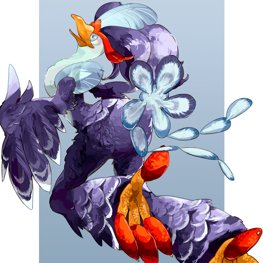 beak blue_background blue_eyes blue_feathers feather_hair feathers from_side highres nintendo no_humans nyala_(nyala_766) open_mouth pokemon pokemon_(creature) pokemon_focus purple_feathers quaquaval simple_background talons two-tone_background white_background winged_arms wings