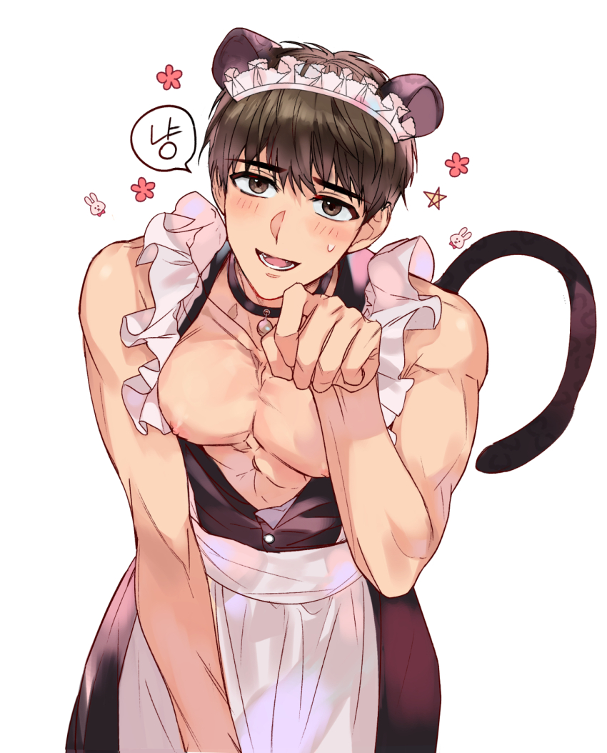 1boy abs animal_ears apron bishounen black_collar blush brown_eyes brown_hair cat_ears cat_tail collar cowboy_shot flower_symbol frilled_apron frills highres jeong_taeui maid_apron maid_headdress male_focus mi8_89 nipples open_clothes open_mouth passion_(manhwa) paw_pose pectorals rabbit_symbol short_hair simple_background smile solo star_(symbol) tail teeth white_apron white_background
