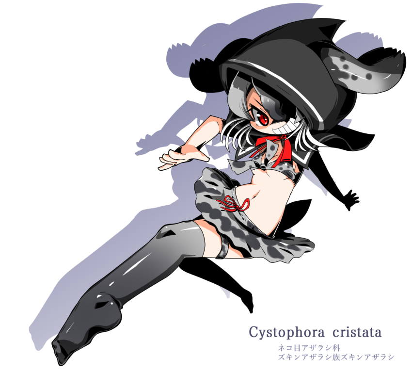 1girl black_hair bow bowtie female_focus grey_hair hair_over_one_eye hood hooded_seal_(kemono_friends) kemono_friends midriff multicolored_hair navel no_shoes red_eyes sailor_collar scientific_name shadow simple_background solo teeth thighhighs two-tone_hair white_background
