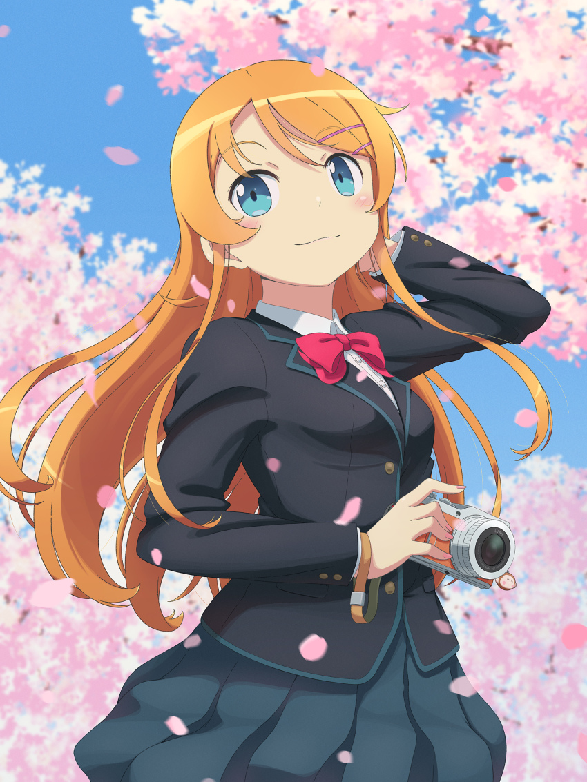1girl absurdres black_jacket blazer blue_eyes blue_skirt blush bow bowtie camera cherry_blossoms closed_mouth commentary english_commentary falling_petals hair_ornament hairclip hairpin hand_in_own_hair hand_up highres holding holding_camera jacket kousaka_kirino long_hair long_sleeves orange_hair ore_no_imouto_ga_konna_ni_kawaii_wake_ga_nai outdoors petals pleated_skirt red_bow red_bowtie scarletsky school_uniform skirt solo upper_body winter_uniform