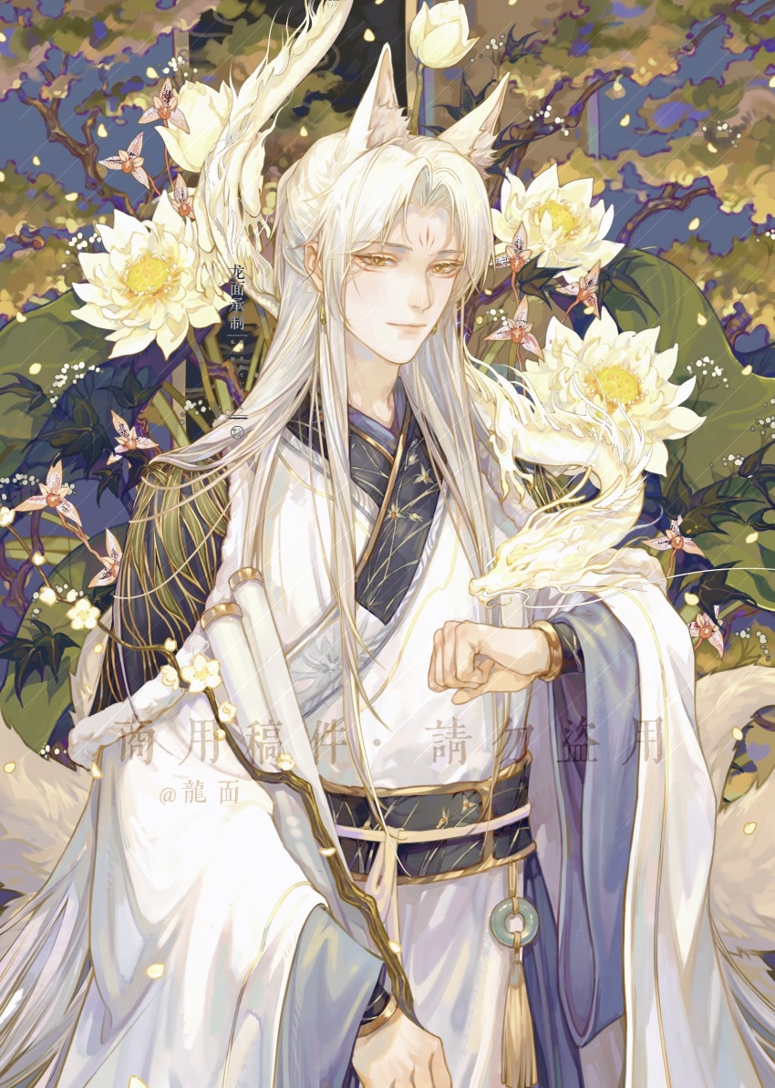 1boy absurdres animal_ears blonde_hair chinese_clothes dragon facial_mark flower forehead_mark fox_boy fox_ears hair_down hair_over_shoulder hanfu highres jade_(gemstone) light_and_night_love long_sleeves longmianbushilongxumian looking_at_viewer male_focus parted_bangs qi_sili scroll sidelocks solo white_flower white_hair wide_sleeves
