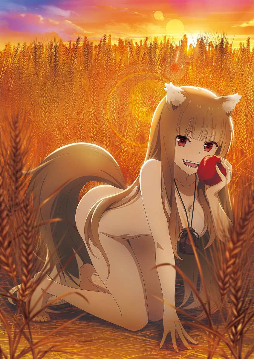 1girl all_fours alternate_breast_size animal_ear_fluff animal_ears apple artist_request barefoot blue_sky blurry bokeh breasts brown_hair brown_tail cleavage commentary_request completely_nude convenient_censoring depth_of_field dusk eyelashes fang feet food fruit full_body gradient_sky hand_up highres holding holding_food holding_fruit holo jewelry legs lens_flare long_hair looking_at_viewer medium_breasts necklace nude official_art open_mouth orange_sky outdoors pouch promotional_art purple_sky apple red_eyes sidelocks sky spice_and_wolf sunset tail teeth thighs third-party_source toes wheat wheat_field wolf_ears wolf_girl wolf_tail