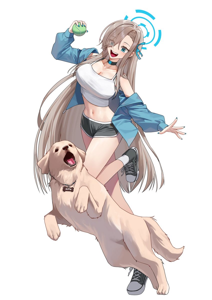 1girl absurdres alfie_(tmdals7645) alternate_costume asuna_(blue_archive) ball black_shoes black_shorts blue_archive blue_eyes breasts brown_hair cleavage dog dolphin_shorts eyes_visible_through_hair full_body hair_over_one_eye halo highres holding holding_ball long_hair looking_at_animal midriff mole mole_on_breast navel open_mouth running shoes shorts smile socks stomach tennis_ball very_long_hair white_socks