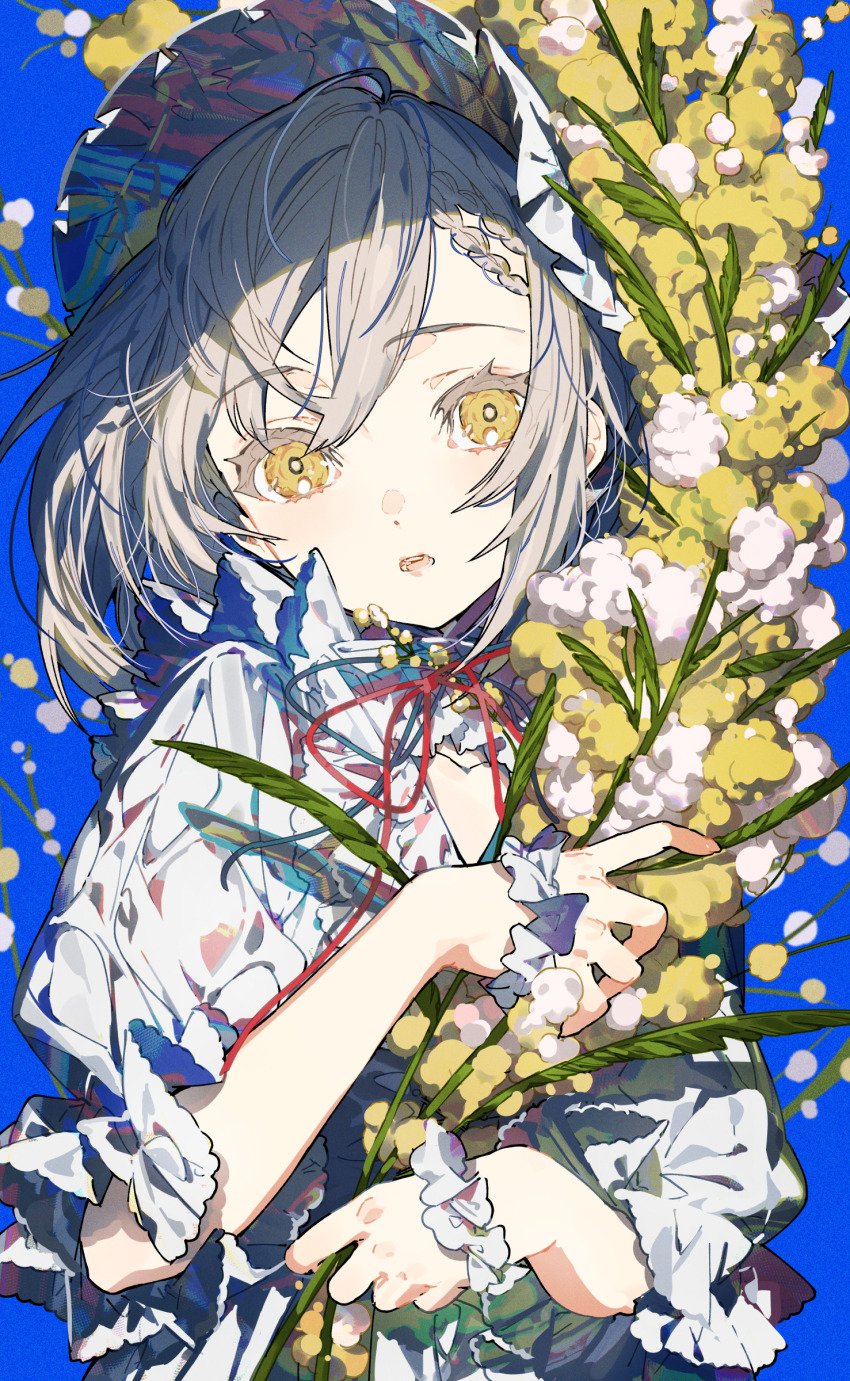 1girl absurdres blue_background blue_ribbon braid colorful commentary_request cotton_(plant) eyelashes grey_hair hair_between_eyes hair_ornament hat head_tilt highres holding holding_plant light_blush looking_at_viewer medium_hair mika_pikazo open_mouth original plant puffy_short_sleeves puffy_sleeves red_ribbon ribbon shadow shirt short_sleeves side_braid sidelocks simple_background solo teeth upper_body white_hat white_shirt yellow_eyes