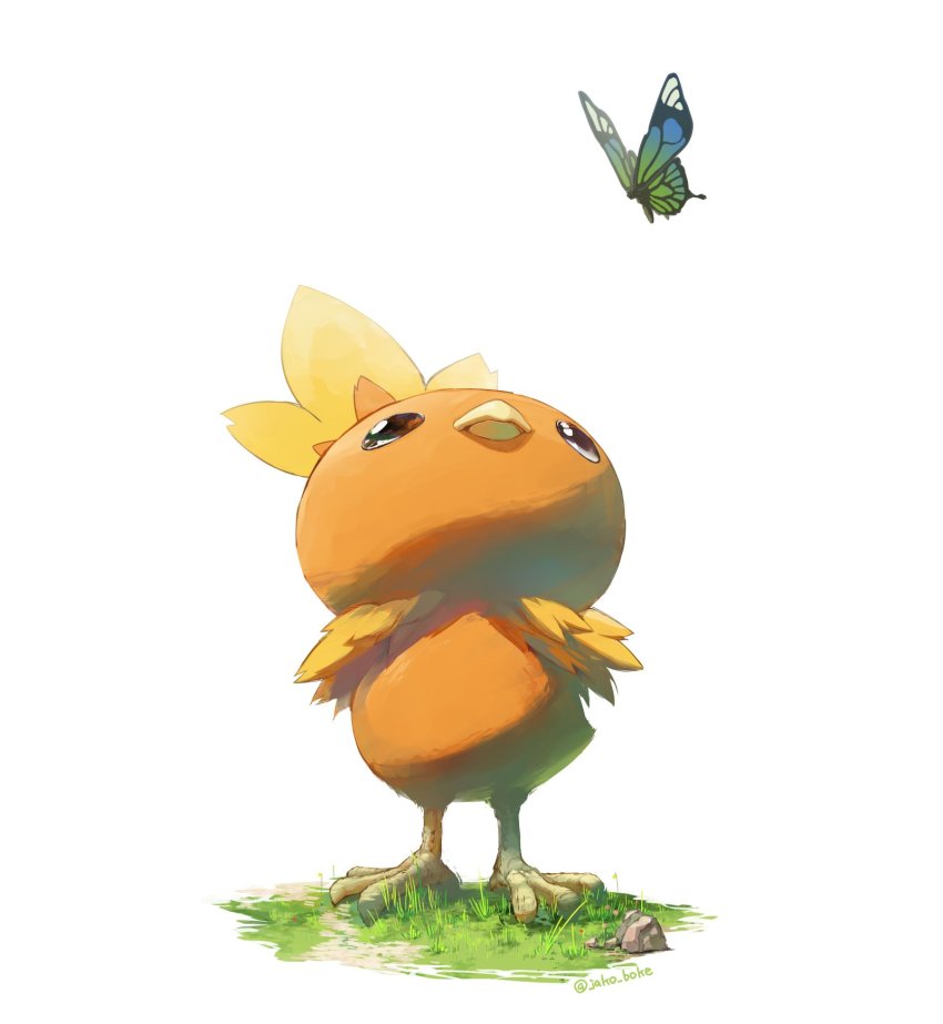baby_animal bird bug butterfly chick commentary_request gen_3_pokemon grass highres insect jako_(boke_poke) looking_up nintendo no_humans pokemon pokemon_(creature) rock standing torchic twitter_username white_background