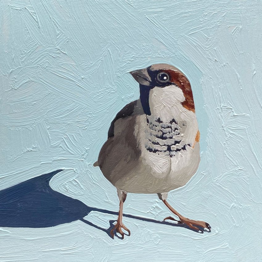 alt_text animal animal_focus bird blue_background commentary english_commentary eurasian_tree_sparrow highres leah_gardner looking_to_the_side no_humans original painting_(medium) shadow simple_background sparrow standing traditional_media