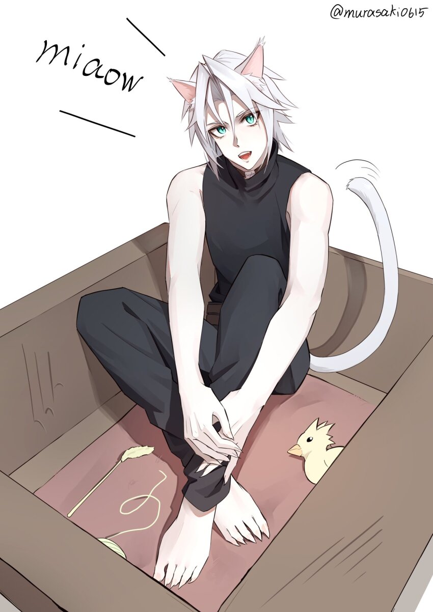 1boy alternate_costume animal_ears barefoot belt black_collar black_pants black_shirt blue_eyes box brown_belt cardboard_box cat_boy cat_ears cat_tail cat_teaser chinese_commentary chocobo claws collar commentary_request final_fantasy final_fantasy_vii final_fantasy_vii_ever_crisis full_body grey_hair highres in_box in_container kemonomimi_mode knees_up looking_at_viewer male_focus open_mouth pants parted_bangs sephiroth sephiroth_(ever_crisis) shirt short_hair sitting sleeveless sleeveless_shirt sleeveless_turtleneck slit_pupils solo tail toned toned_male turtleneck turtleneck_shirt twitter_username white_background zi_(murasaki0615)