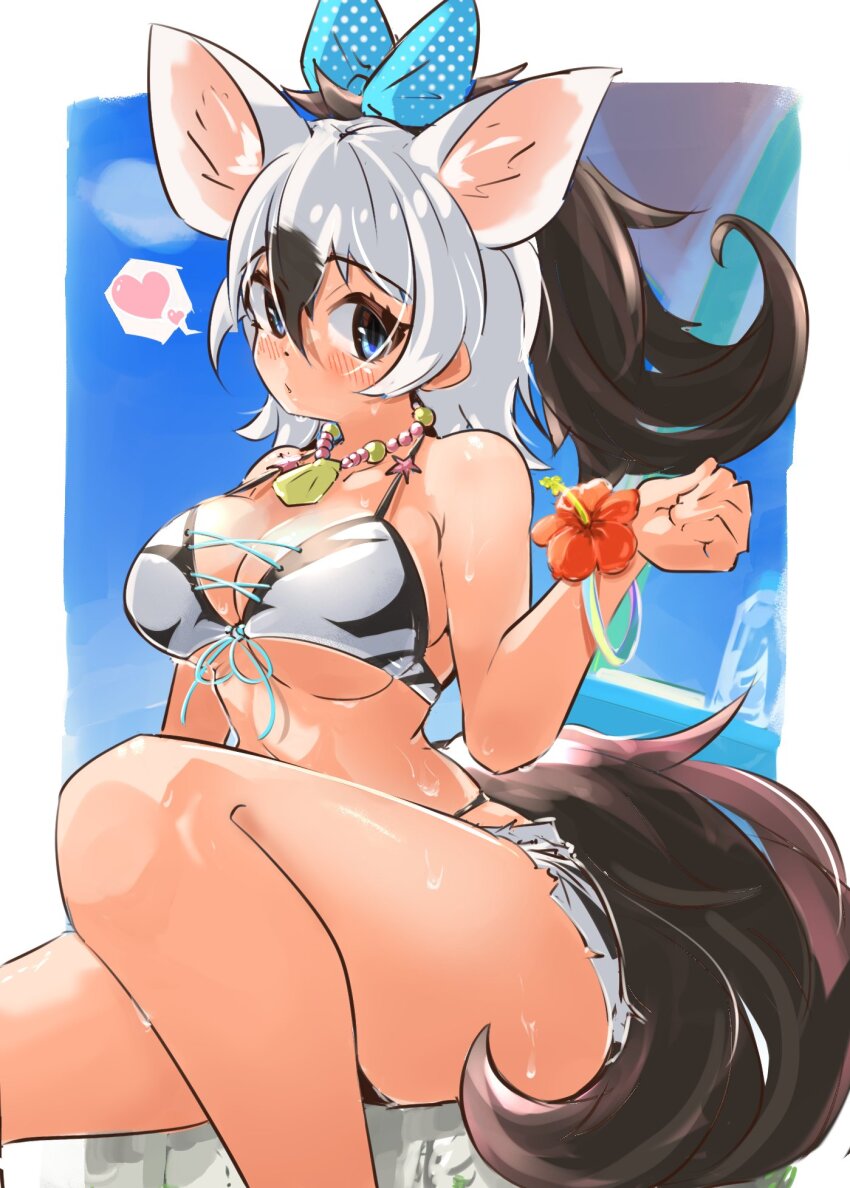 1girl aardwolf_(kemono_friends) animal_ears animal_print bare_shoulders bikini bikini_top_only black_hair blue_eyes blush bracelet breasts extra_ears hair_between_eyes heart highres jewelry kemono_friends kemono_friends_3 large_breasts long_hair multicolored_hair ponytail shorts spoken_heart swimsuit tail two-tone_hair white_hair wonderful_waon