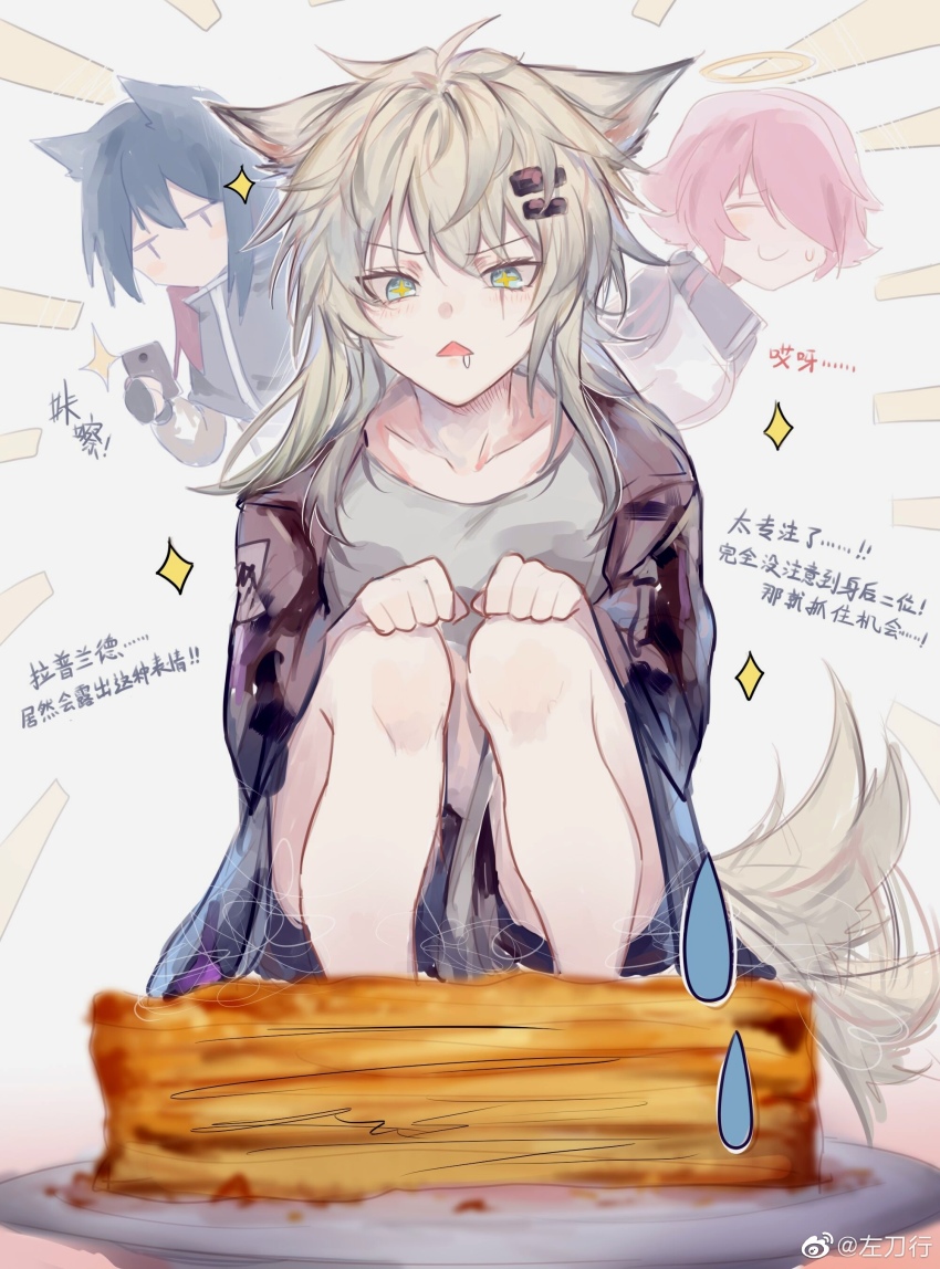 +_+ 3girls absurdres ahoge animal_ears arknights baklava black_hair black_jacket blue_eyes cake chinese_commentary chinese_text collarbone drooling emphasis_lines exusiai_(arknights) food grey_shirt hair_between_eyes hair_ornament halo highres holding holding_phone jacket lappland_(arknights) messy_hair multiple_girls phone red_hair shirt sparkle sparkling_eyes squatting sweatdrop tail tail_wagging texas_(arknights) watermark weibo_watermark white_background white_hair wolf_ears zuo_daoxing