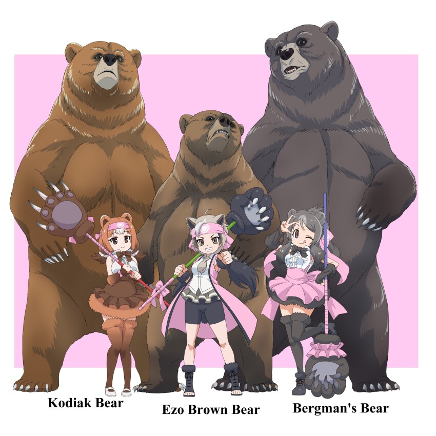 3girls animal_ears bear bear_ears bear_girl bergman&#039;s_bear_(kemono_friends) black_eyes boots bow bowtie brown_hair elbow_gloves extra_ears ezo_brown_bear_(kemono_friends) gloves grey_hair happi highres japanese_clothes kemono_friends kemono_friends_3 kodiak_bear_(kemono_friends) leggings long_hair looking_at_viewer multiple_girls necktie paw_stick pink_background shirt short_hair simple_background skirt sleeveless sleeveless_shirt thighhighs weapon yamaguchi_yoshimi