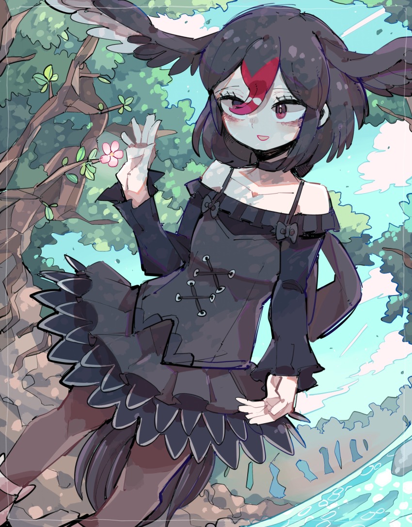 1girl absurdres bare_shoulders bird_girl bird_tail bird_wings black_dress black_hair black_swan_(kemono_friends) dress feathered_wings head_wings highres kanmoku-san kemono_friends multicolored_hair nature pantyhose red_eyes red_hair shoes short_hair skirt solo tail wings