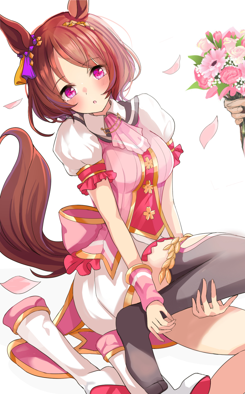 1girl animal_ears blush breasts brown_hair flower hair_between_eyes hair_ornament hanamura_pink highres holding holding_flower horse_ears horse_girl looking_at_viewer open_mouth pink_eyes pov pov_hands sakura_laurel_(umamusume) shoes small_breasts solo thighhighs umamusume unworn_shoes white_background